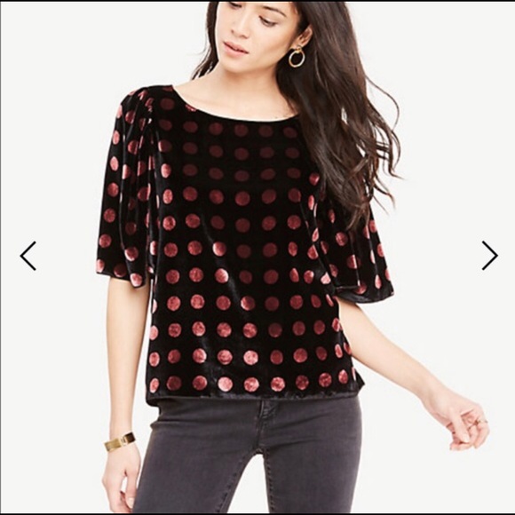 Ann Taylor Tops - 🎉 HP🎉 Ann Taylor black velour top polka dots XL